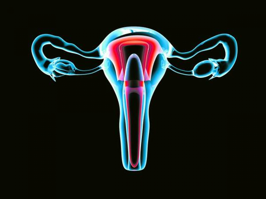Cercetătorii americani testează un vaccin împotriva cancerului ovarian în fază avansată