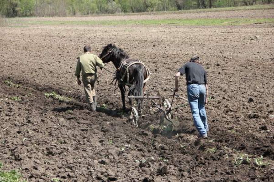 Agricultura românească se duce de râpă tot mai rapid