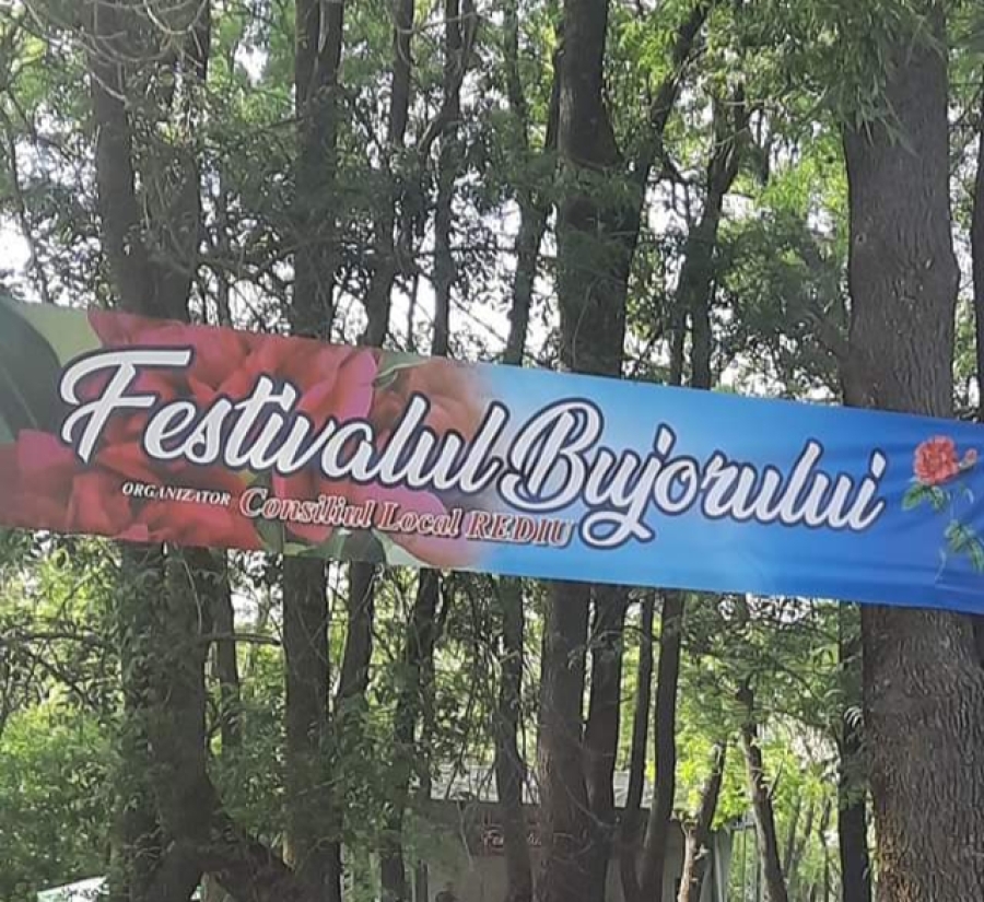 Galați: Incident sângeros la Festivalul Bujorului din comuna Rediu