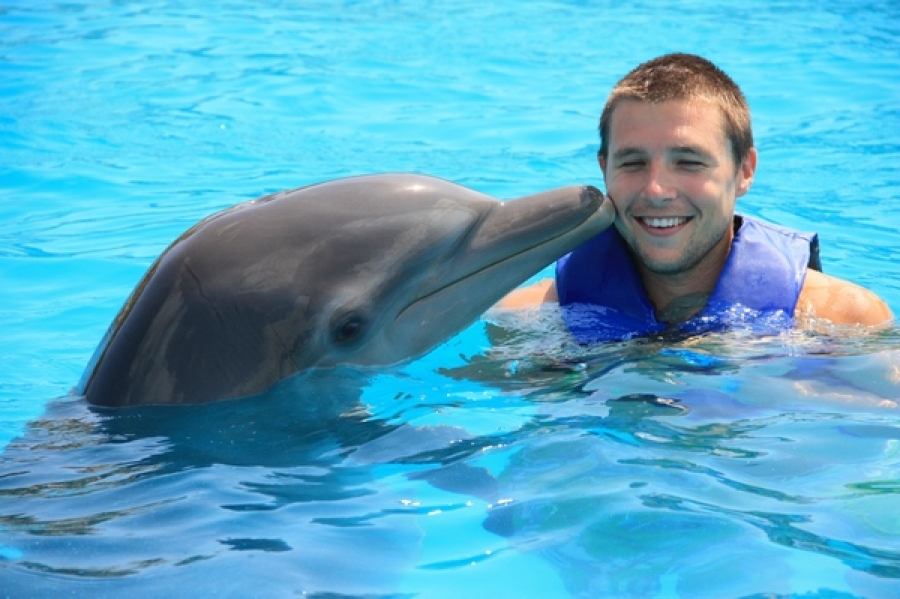 Cinci escapade pentru a înota cu delfinii