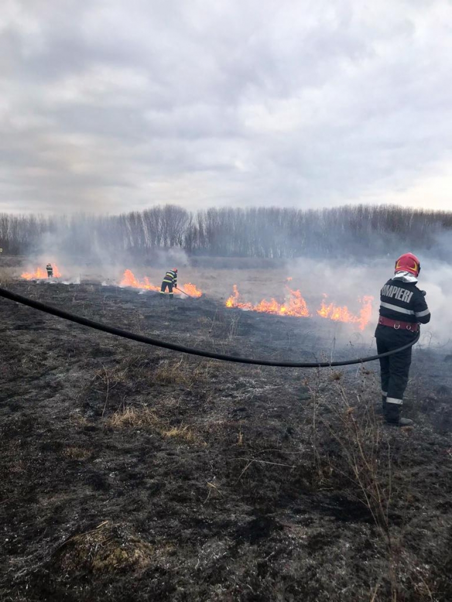 REGIONAL: Incendiu de vegetaţie uscată la Măcin