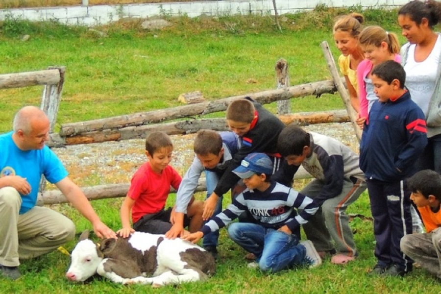 Copiii crescuţi la ţară au mai puţine alergii