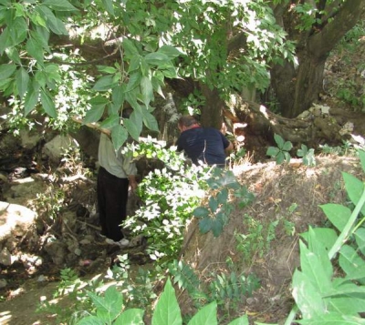 Descoperire macabră în Parcul Cloşca