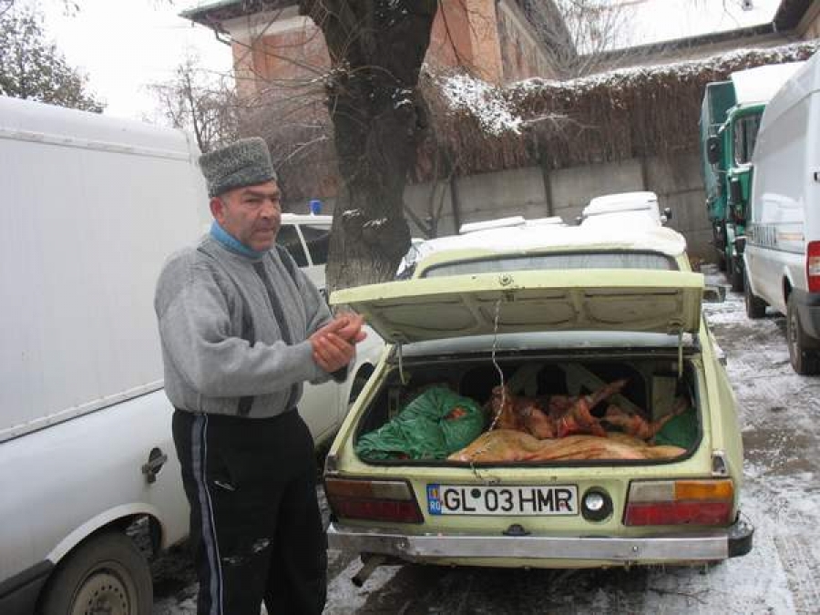 Porci ”fără acte”şi carne suspectă în portbagajul unei Dacii