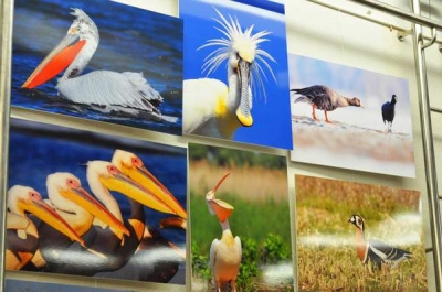 Expoziţie de fotografie: „Dunărea, Dobrogea, Delta”