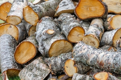Preţul lemnului utilizat pentru încălzire ar putea fi plafonat pentru 6 luni