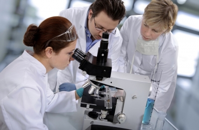 O proteină din veninul unui păianjen ar putea proteja creierul după un AVC