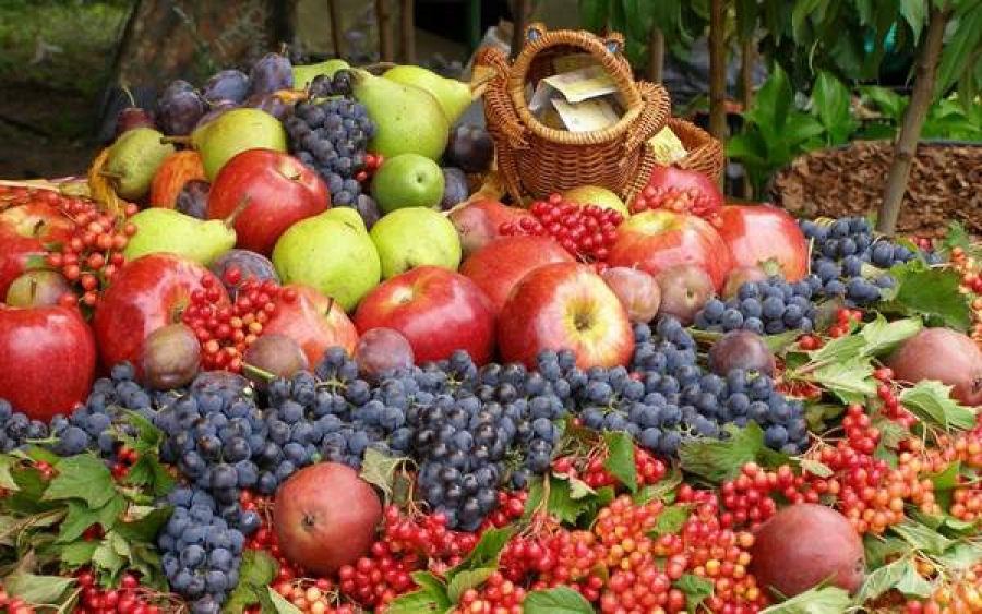 Fructele româneşti ar putea dispărea din magazine şi pieţe în următorii ani