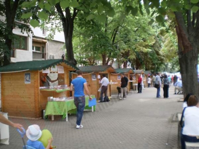 Festivalul Naţional al Cărţii „Axis Libri”, din 20 mai