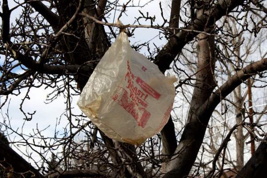 PE cere Comisiei interzicerea pungilor de plastic de unică folosinţă până în 2020