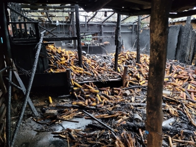 Gospodărie în flăcări de la o afumătoare improvizată (FOTO/VIDEO)