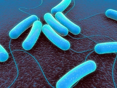 Microbii cu care trăim în simbioză, protectorii sănătăţii noastre