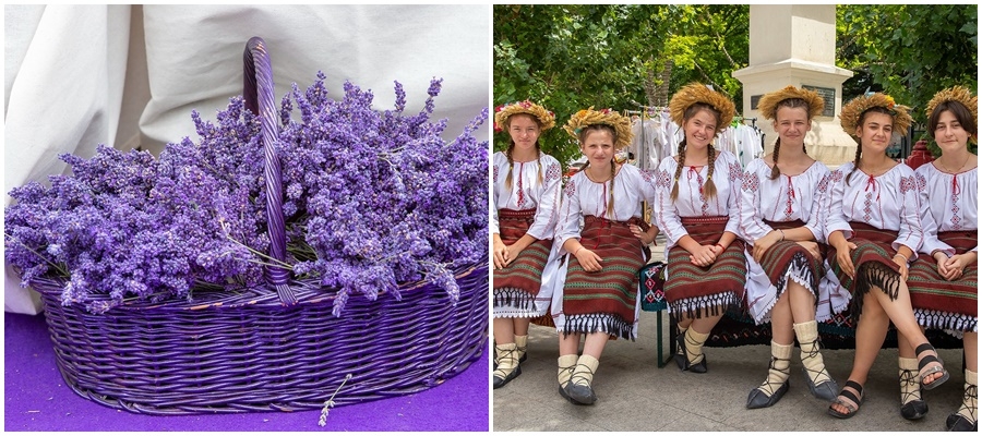 Weekend plin pentru gălățeni! Festival de lavandă pe Faleză și joc popular românesc la Spicu