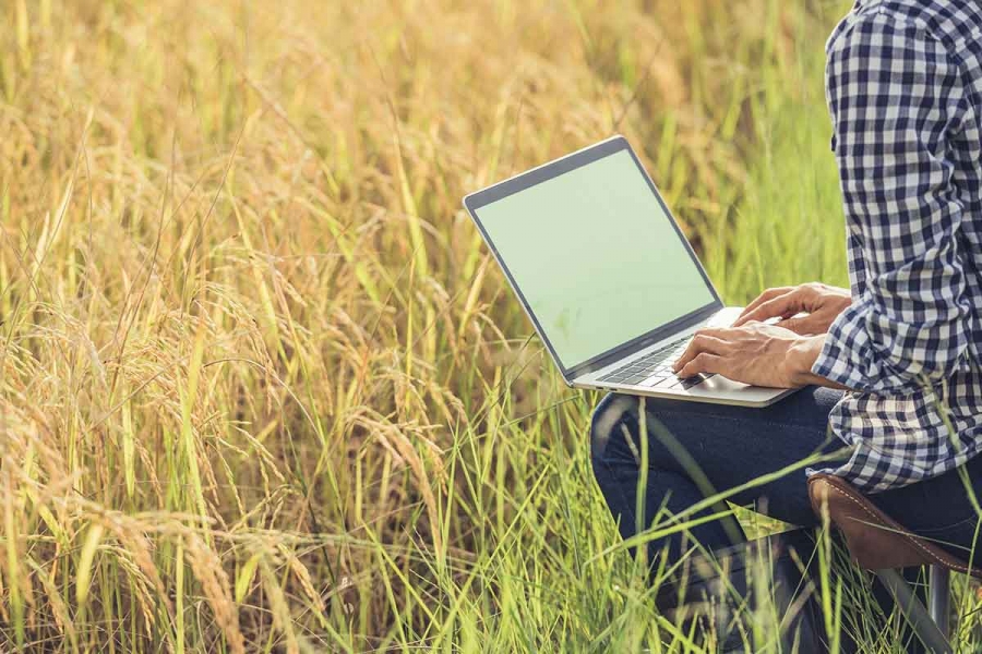 Digitalizarea agriculturii poate aduce beneficii considerabile fermierilor şi consumatorilor într-un interval scurt de timp