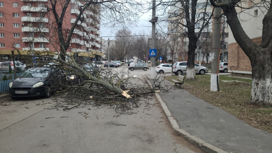 Vântul puternic face prăpăd în Galaţi. COD GALBEN, până diseară!