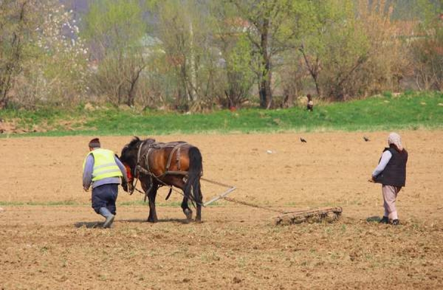 Agricultura României, în pericol de faliment