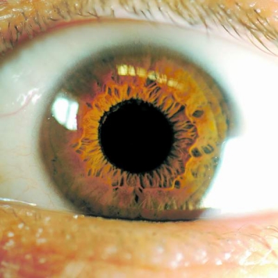 A fost descoperită o nouă componentă a ochiului uman