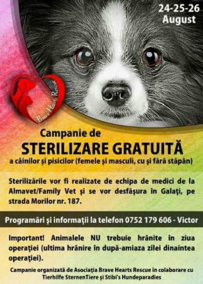 Campanie de sterilizare gratuită a animalelor