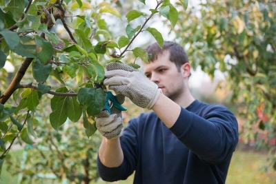Agricultura din regiunea Sud-Est are nevoie ca tinerii fermieri să fie susţinuţi