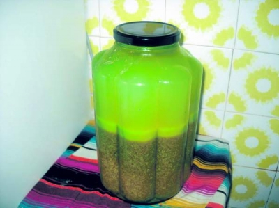 Borşul de putină, remediu terapeutic pentru numeroase afecţiuni