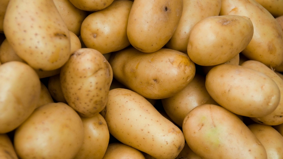 România produce mai mulţi cartofi decât consumă