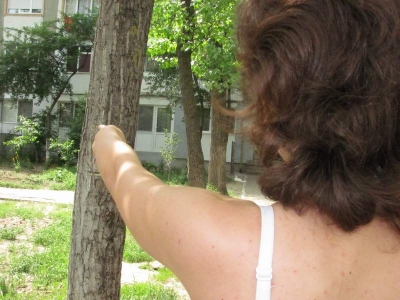 A fost prins după ce s-a întors la locul faptei