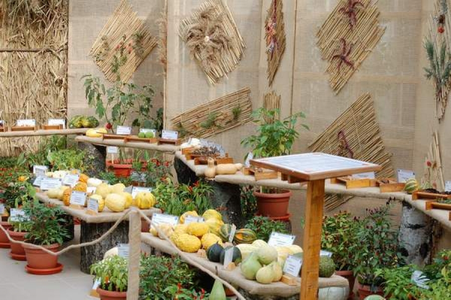 Expoziţia „Fructe şi Seminţe - Roadele Pământului”, la ediţia a IX-a