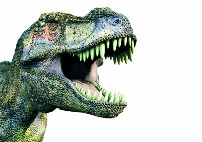 Cercetătorii elucidează misterul dinozaurilor