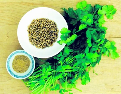 Coriandrul are efecte benefice asupra nivelului de grăsimi din sânge