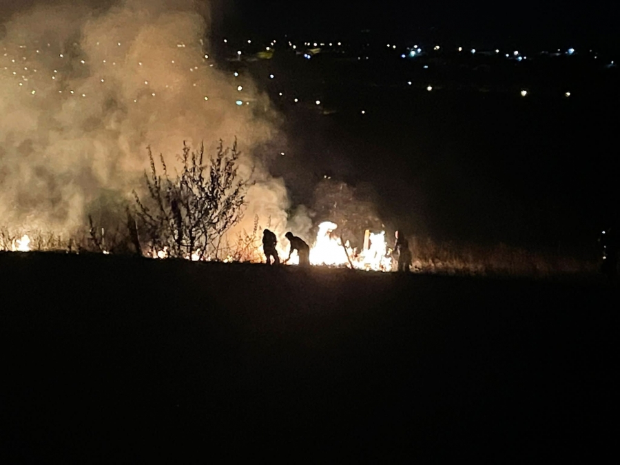 Incendiu de vegetație în apropierea municipiului Tulcea