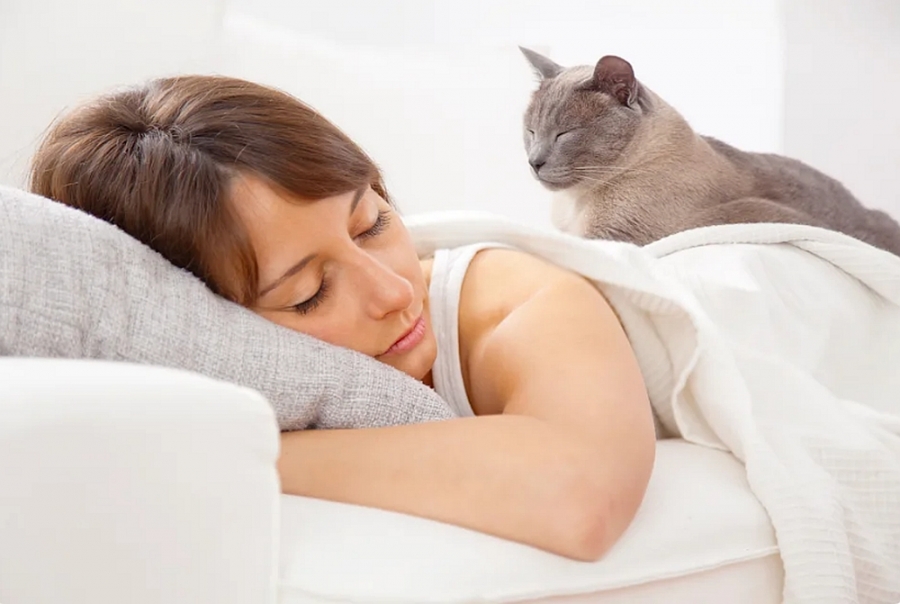 Somnul cu animalul tău de companie, bine sau rău pentru sănătatea ta?