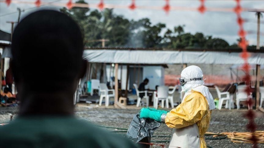 Cea mai recentă reapariţie a holerei a provocat 200 de morţi în zece luni, în Camerun