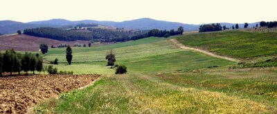Preţurile terenurilor agricole din România, până la şapte ori mai mici decât în ţările europene