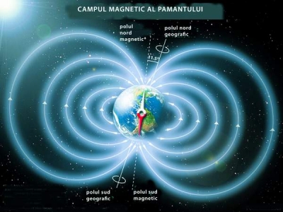 Deplasarea polilor magnetici nu va ucide viaţa pe Terra