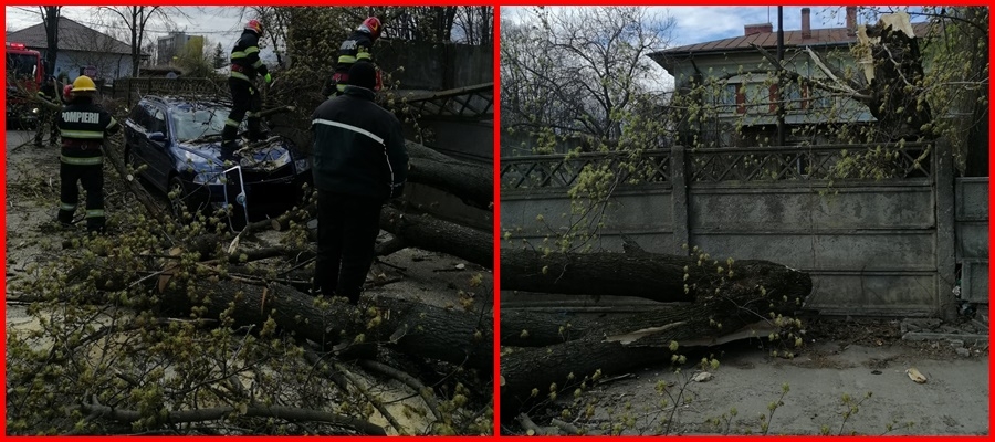 VIDEO: Maşini distruse de un copac rupt de vânt! Pagube aduse de CODUL GALBEN în judeţul Galaţi (UPDATE)