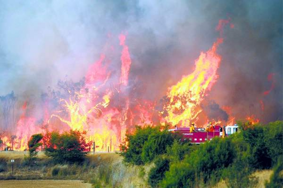 Catastrofele meteorologice din această vară, semnale de alarmă pentru clima viitorului