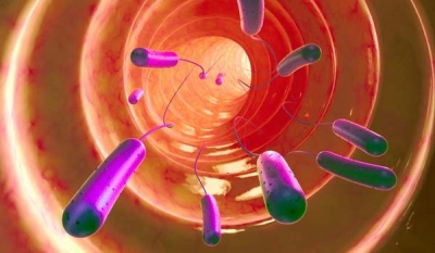 Medicina bacteriană ar putea vindeca boli care azi sunt incurabile