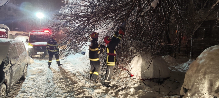 În Galaţi, 16 maşini avariate de copacii căzuţi sub greutatea zăpezii
