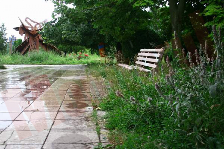 Cine face ordine în Parcul de la Ultimul Leu?