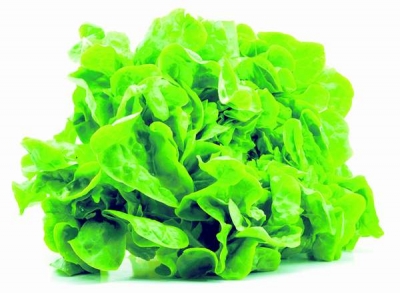 Salata verde e bună proapătă, crudă şi cât mai verde