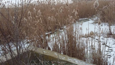 Un mort de la ger şi opt oameni ai străzii salvaţi de hipotermie