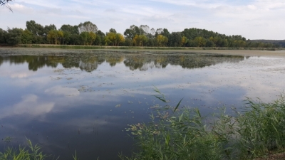 Starea ecologică a bălţii Zătun intră în monitorizare