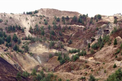 „Proiectul Roşia Montană să înceapă, rezerva de aur a BNR trebuie să ajungă la 200 tone”