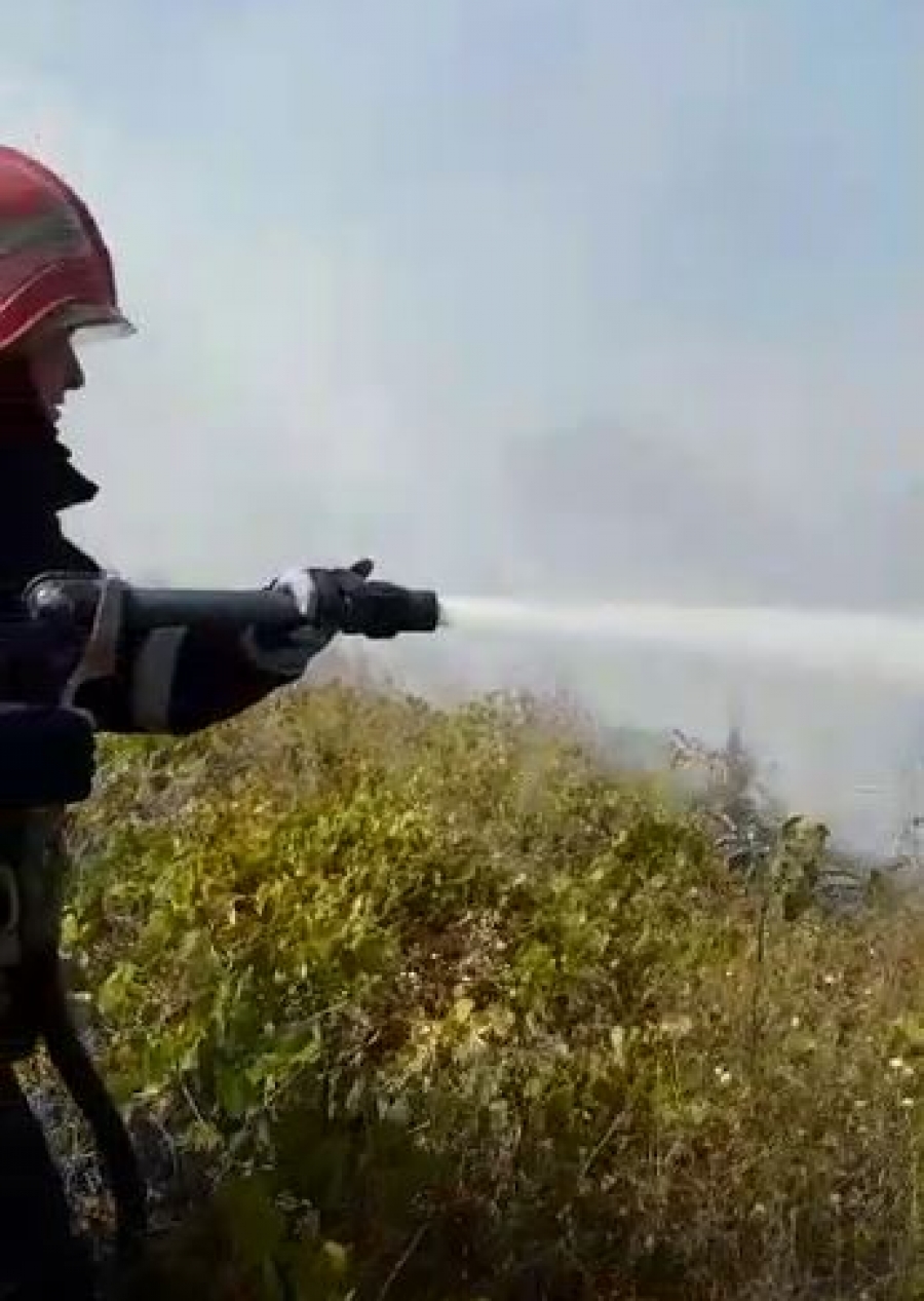 VIDEO: Incendiu puternic la ieşirea din Tulcea spre Cataloi