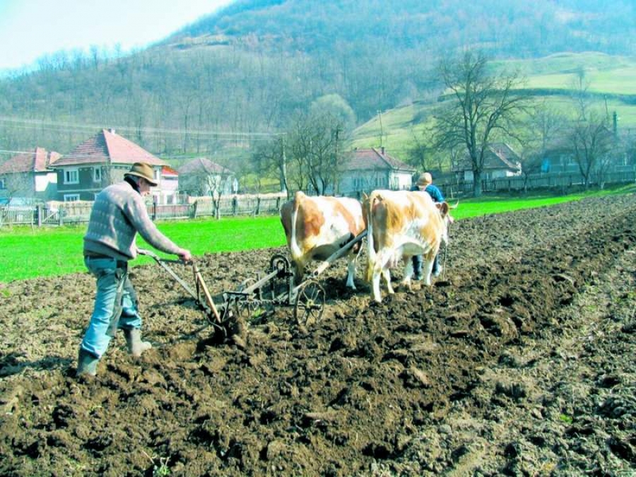 România este pe primul loc în UE în ceea ce priveşte populaţia ocupată în agricultură