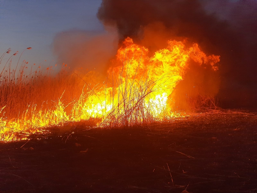 Incendiu puternic de vegetaţie uscată şi stuf, în judeţul Tulcea (FOTO)