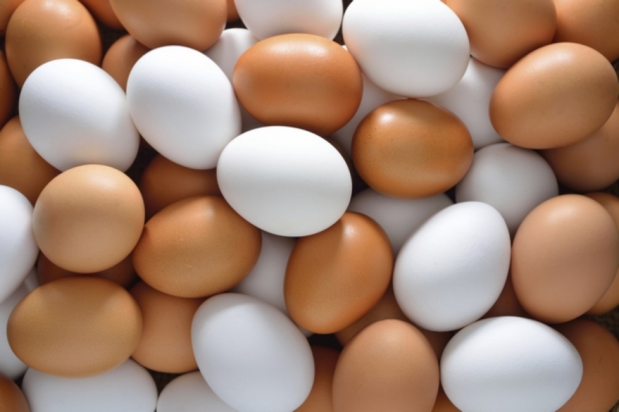 România a rămas în urmă cu exporturile de ouă