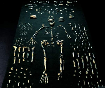 Homo naledi, un nou strămoş îndepărtat al omului