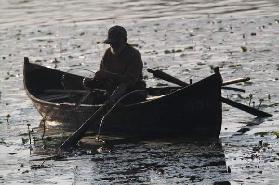 Stocurile de peşte din Delta Dunării ar putea fi afectate de schimbările climatice