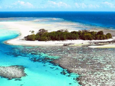 Recifele de corali vor dispărea până în 2050